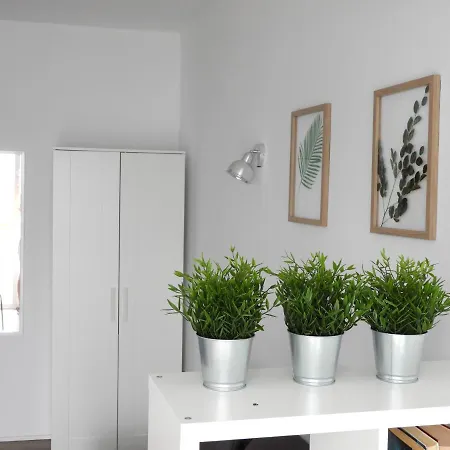 Apartmán Playa De Jover 6 *